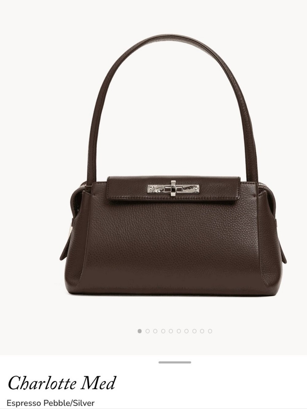 Hammitt Charlotte Shoulder And Crossbody Bag In Espresso Pebble/Silver